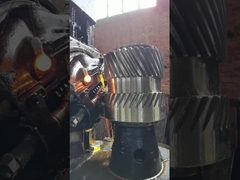 12 Módulo de transmissão helicoidal única 76 Dentes para caixa de engrenagens